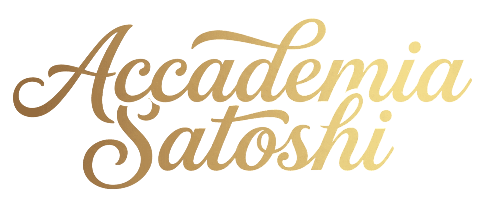 Accademia Satoshi